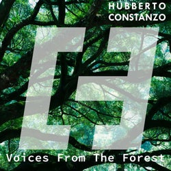 Voices From The Forest