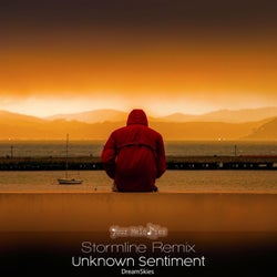 Unknown Sentiment (Stormline Remix)