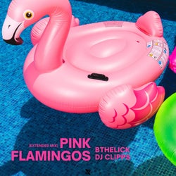 Pink Flamingos (Extended Mix)