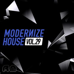 Modernize House, Vol. 29