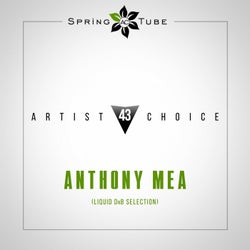 Artist Choice 043. Anthony Mea (Liquid DnB Selection)