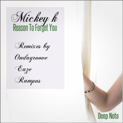 Reason to Forget You