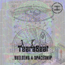 Building a Spaceship