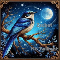 No Twilight