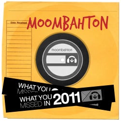 What You Missed 2011 - Moombahton