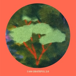 I Am Grateful 2.0