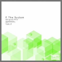 F The System (Original Mix)