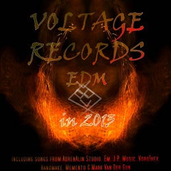 Voltage Records Edm In 2013