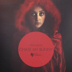 Chase My Bunny