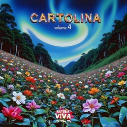 Cartolina Volume 4