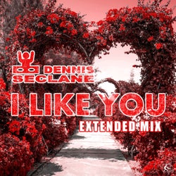 I Like You (Extended Mix)