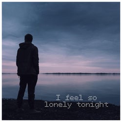 I Feel So Lonely Tonight