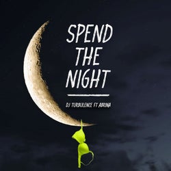 Spend The Night (feat. Abrina)