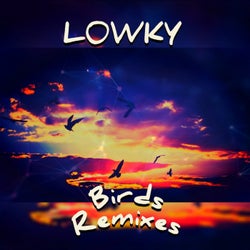 Birds Remixes