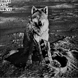 The First Wolve on the Moon EP