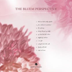 The Bluem Perspective - From Darkness to Wonderland