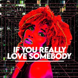 If You Really Love Somebody - Extended Mix