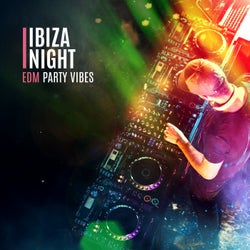 Ibiza Night: EDM Party Vibes