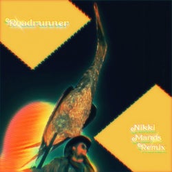 Roadrunner (Nikki Manos Remix)