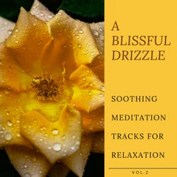 A Blissful Drizzle - Soothing Meditation Tracks For Relaxation, Vol.2