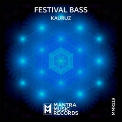 Festival Bass