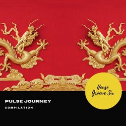 Pulse Journey