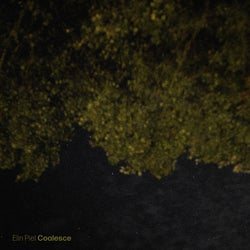 Coalesce