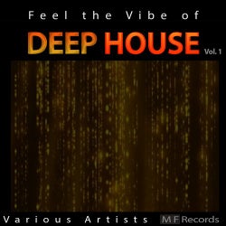 Feel the Vibe of Deep House, Vol. 1