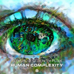 Human Complexity