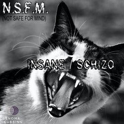 Insane / Schizo