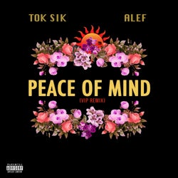 Peace Of Mind (VIP Remix)