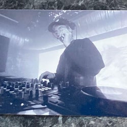 Apple Tree November Chart 2025