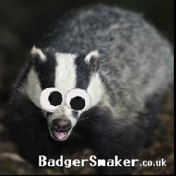 Badger Bangers: Week 44 2013
