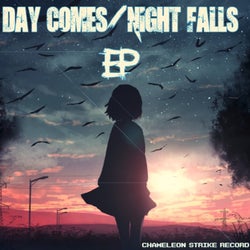 Day Comes Night Falls