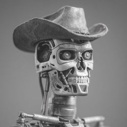 Techno Cowboys