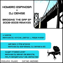 Bridging the Gap EP 2008-2009 Remixes