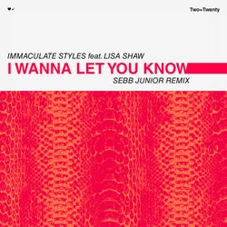 I Wanna Let You Know (Sebb Junior Remixes)