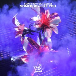 Somebody Like You (feat. D.Lylez)