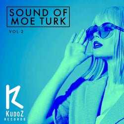 Sound Of Moe Turk, Vol. 2