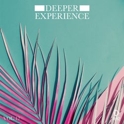 Deeper Experience Vol. 17