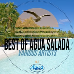 Best of Agua Salada Records Vol. 2