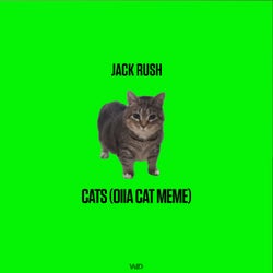 Cats (OIIA Cat Meme)