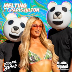 Melting (feat. Paris Hilton)