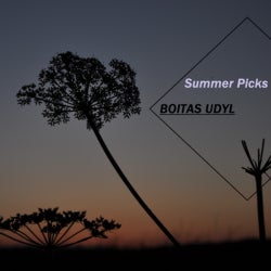 My Summer Picks - BOITAS UDYL