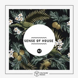 Sense Of House Vol. 42