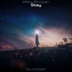 Stay