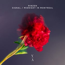 Signal / Midnight in Montreal