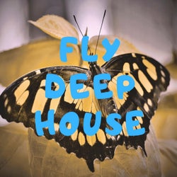 FLY DEEP HOUSE