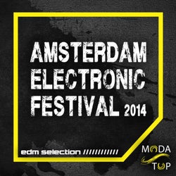 Amsterdam Electronic Festival 2014 - EDM Selection