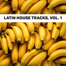 Latin House Tracks, Vol. 1